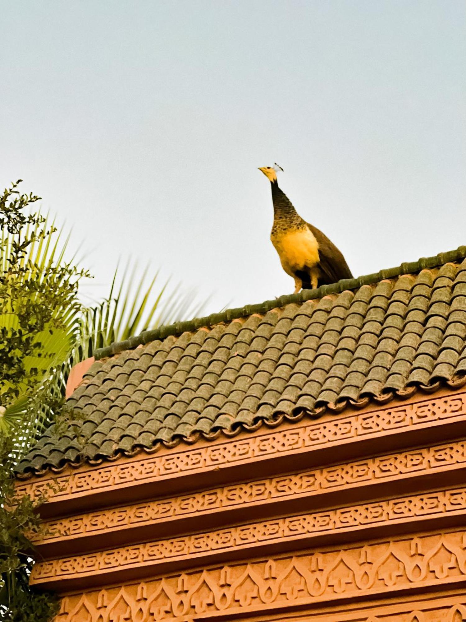 Guest House Qodwa Sidi Abdallah Ghiat Eksteriør billede